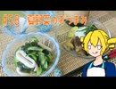 ξﾟ⊿ﾟ)ξ雑に料理を楽しむようです#58【夏野菜のおつまみ】