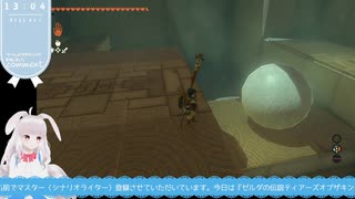 【生放送アーカイブ】祠とレースとモルドラジークなティアキン生放送81回目【1/6】