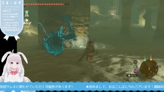 【生放送アーカイブ】祠とレースとモルドラジークなティアキン生放送81回目【3/6】