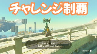 ゼルダの伝説　ティアーズ オブ ザ キングダム　実況プレイおまけその17