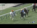 マルガ　2歳新馬