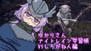 無知無知ゆかりさんのナイトレイン学習帳