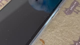 そらのだよ！