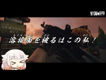 AKS-74N 溶接面を被るはこの私！【タルコフ】ONE実況