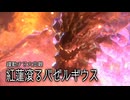 空中戦メインでサンブレイクを楽しむ棍使い【紅蓮滾るバゼルギウス編】