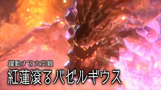 空中戦メインでサンブレイクを楽しむ棍使い【紅蓮滾るバゼルギウス編】