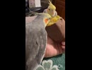 夏バテ予防？