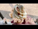 醒ヶ井の醬油ソフトクリームと梅花藻