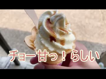 醒ヶ井の醬油ソフトクリームと梅花藻