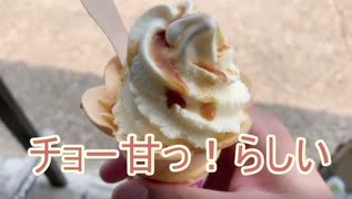 醒ヶ井の醬油ソフトクリームと梅花藻