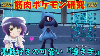【ポケモンSV】ご注文は『悪戯好きの導き手』ですか？【リオル】