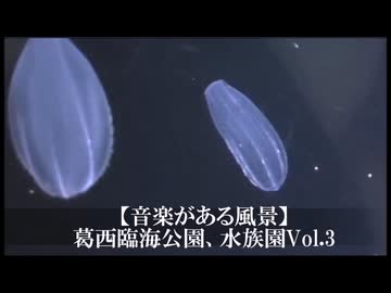 【音楽がある風景】葛西臨海公園、水族園Vol.3