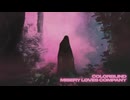 Colorblind - Misery Loves Company (Official Visualizer)