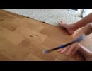 Hai tua