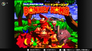 スーパードンキーコングをする！