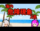 【VOICEROID解説】海の危険現象【離岸流、インショアホール】