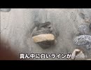 激突！石バトル！に応募してみた