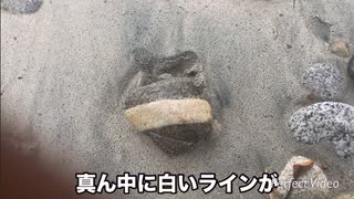 激突！石バトル！に応募してみた