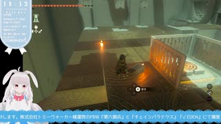 【生放送アーカイブ】祠とレースとモルドラジークなティアキン生放送81回目【5/6】