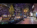 大阪・光の饗宴「御堂筋イルミネーション」 - 2025年5月下旬 (Full HD)