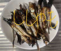 子持ち　ししゃも　シシャモ　グリル　焼き　料理