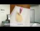 【羊毛フェルトで作る！】剣崎雌雄の生首