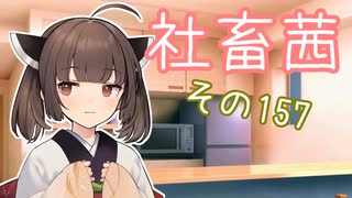 社畜茜その157【ソフトウェアトーク劇場】