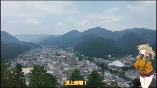 岐阜旅行に行ってきたよ！　【お城巡り編】　（3日目）