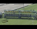 2025 五稜郭ステークス (3勝クラス)　 パレハ
