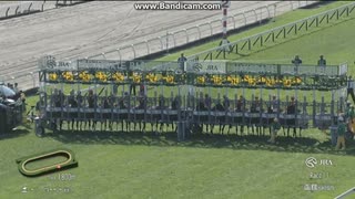 2025 五稜郭ステークス (3勝クラス)　 パレハ