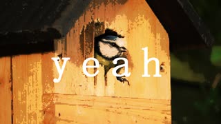 【ニコラップ】yeah feat. NOTサワー【buzzle】