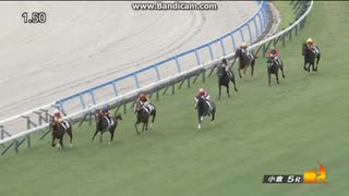 ウイナーズナイン　2歳新馬