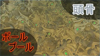 【ブレワイ】気になったのでスイッチ２の限界まで頭骨を増やしてみた【ドリカラ】【ボイスピ実況,ゼルダの伝説,ブレスオブザワイルド,BotW,バグ,検証 】