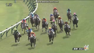 ルージュボヤージュ　2歳新馬
