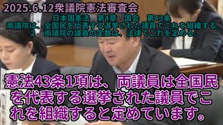 20250612憲法審査会　字幕付き　倍速