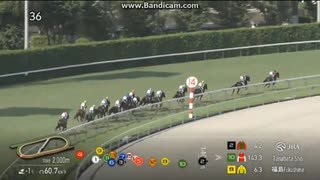 2025 七夕賞 (GⅢ)　コスモフリーゲン