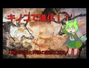 【衝撃】幻覚キノコが人類を進化させた！？ストーンド・エイプ仮説と古代神話の謎【ずんだもん解説】