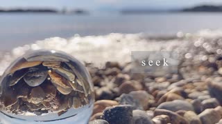 seek / 小夜/SAYO
