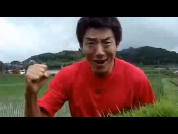 お米100パーセント