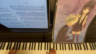 【楽園のPhotograph】弾いてみました【御狐神双熾 CV：中村悠一さん】