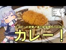 【シンプル車載動画投稿祭】行きつけのカレー屋さんの閉店を知った小春六花