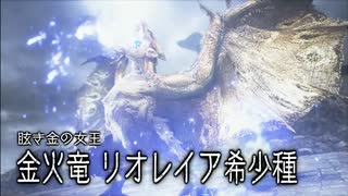 空中戦メインでサンブレイクを楽しむ棍使い【リオレイア希少種編】