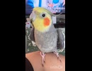 なぎと会話とカキカキでワチャワチャ