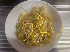 もやし　炒め　ニンニク　塩コショウ　醤油　サラダ油　料理