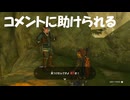 #216【ゼルダの伝説 ティアーズ オブ ザ キングダム】地上の深穴から行くんだとコメントに助けられる！