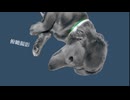 for『俯瞰撮影』feat.雨衣 supported by初音ミク