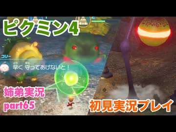 □■ピクミン4を初見実況プレイ part65【姉弟実況】