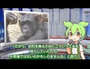 7月14日 世界のおもしろB級ニュース【全5本】【ずんだもん】