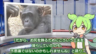 7月14日 世界のおもしろB級ニュース【全5本】【ずんだもん】