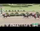 2025年7月13日佐賀競馬4R ＣＯＭＥＨＯＭＥ九州 里帰りＪＣ第１戦 ウェルカムカップ(C2-5組) グラフ